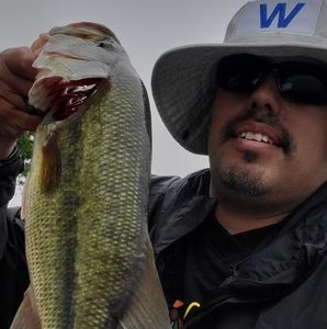 Meet your Posher, Eduardo